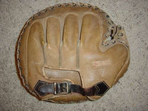 Raywill Catchers Mitt Back